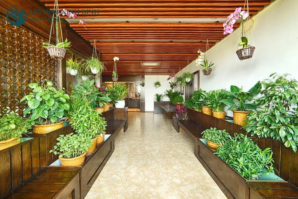 Phòng Oxy nghỉ ngơi