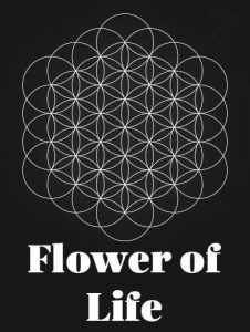 Hình học linh thiêng - Flower of life - Hoa của sự sống.
