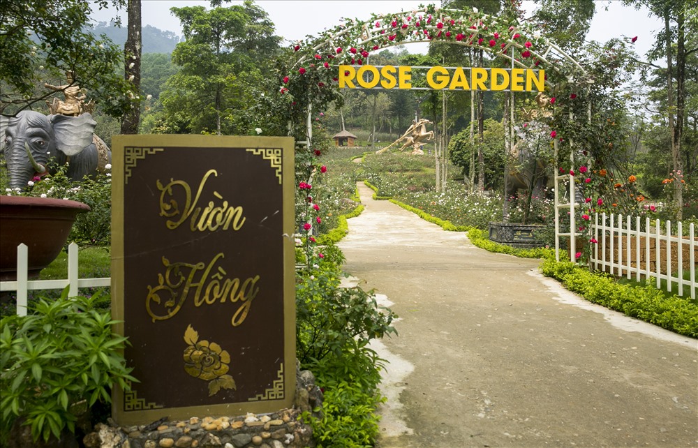 Trải Nghiệm Rose Garden – Vườn Hồng Lớn Nhất Việt Nam